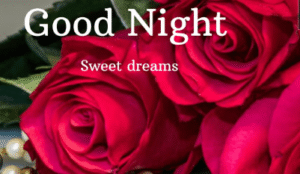 Messages of Morning and Night Status to Improve Relationships